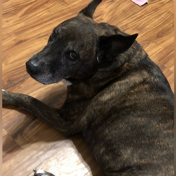 End of duty 6/12/24 - Picture 6 of 15